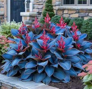 Хоста Грин Фог купить по цене от 669р. в интернет-магазине «Посадика» с доставкой почтой в в Яранске и по всей России – [изображение №1].