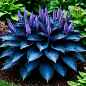 Хоста Сикрет Гров купить по цене от 570р. в интернет-магазине «Посадика» с доставкой почтой в в Яранске и по всей России – [изображение №1].