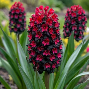 Гиацинт Джем Стоун купить по цене от 2099р. в интернет-магазине «Посадика» с доставкой почтой в в Яранске и по всей России – [изображение №1].