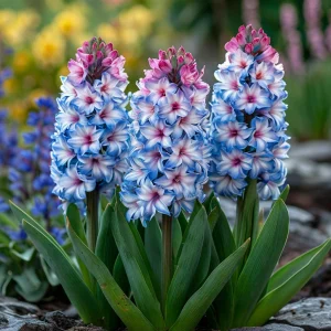 Гиацинт Пинк Мари купить по цене от 2099р. в интернет-магазине «Посадика» с доставкой почтой в в Яранске и по всей России – [изображение №1].