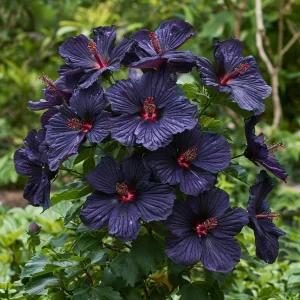 Гибискус Мэджик Момент купить по цене от 699р. в интернет-магазине «Посадика» с доставкой почтой в в Яранске и по всей России – [изображение №1].