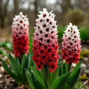 Гиацинт Скай Гарден купить по цене от 2099р. в интернет-магазине «Посадика» с доставкой почтой в в Яранске и по всей России – [изображение №1].